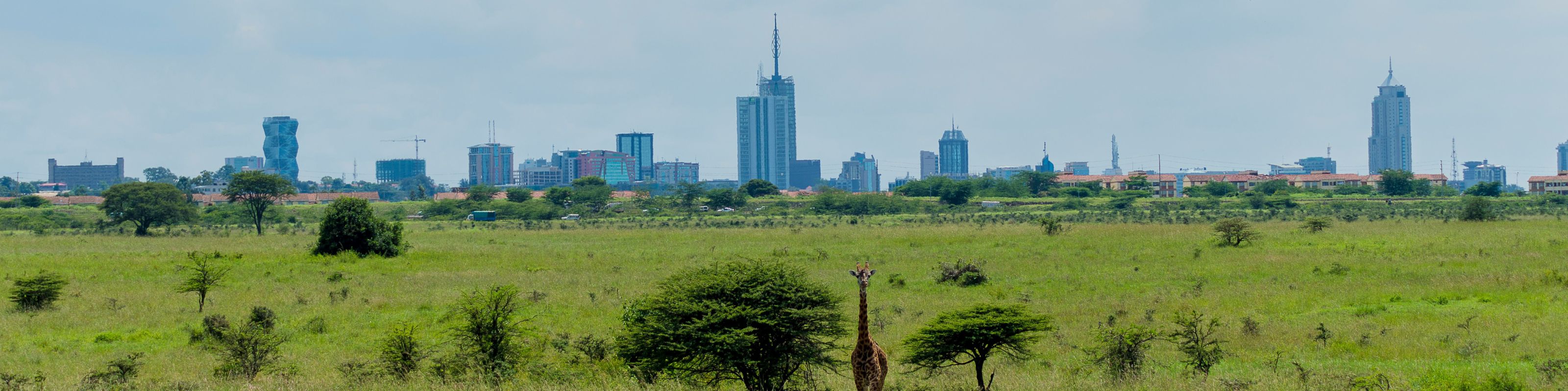 Niederlande - Nairobi